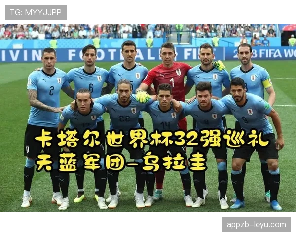卡塔尔无缘世界杯32强：B组垫底出局回顾